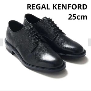 REGAL KENFORD ウイングチップ スコッチブラック ビジネスシューズ 25cm 箱有り