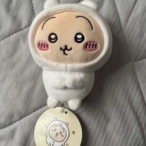ナガノマーケット ナガノのくまを被ったマスコット うさぎ