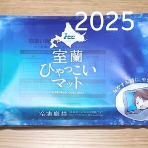 室蘭ひゃっこいマット IC25 専用冷感カバー付き