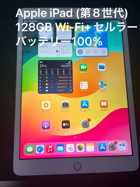 【美品】iPad (第8世代) 128GB シルバーWi-Fi+セルラーモデル バッテリー100% 10.2インチ2020年モデル