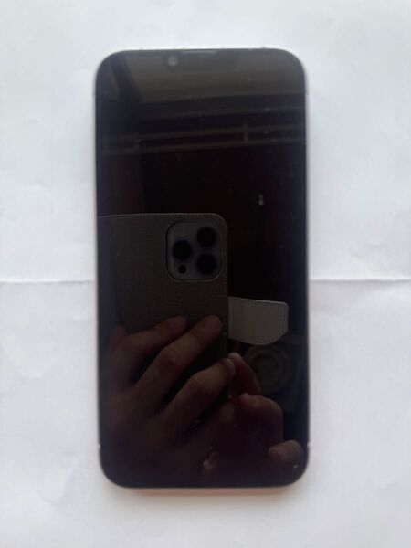 Apple iPhone14 puls 128GB ジャンク