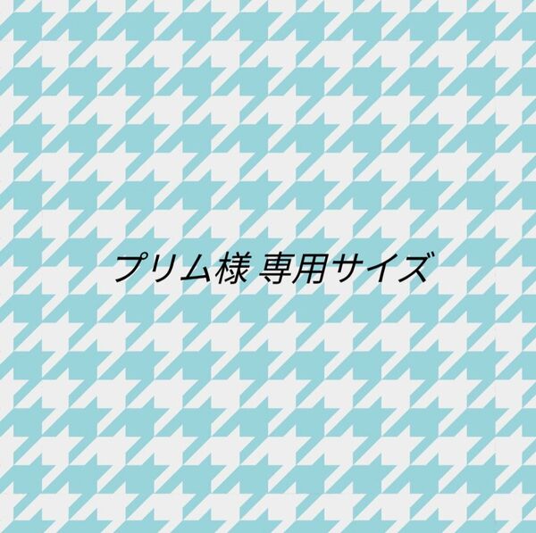 プリム様 専用サイズ