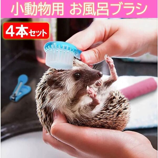 小動物 ブラシ ハムスター ハリネズミ 入浴ブラシ マッサージ お風呂 4本