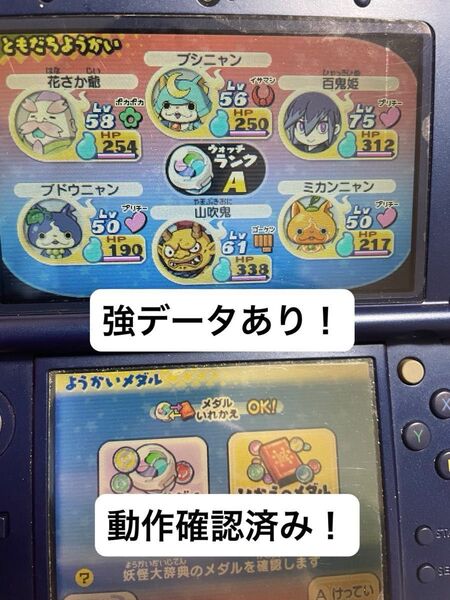 【早い者勝ち】動作確認済 妖怪ウォッチ2 真打 ソフトのみ ニンテンドー3DS データあり 24時間以内発送可能! ⑫