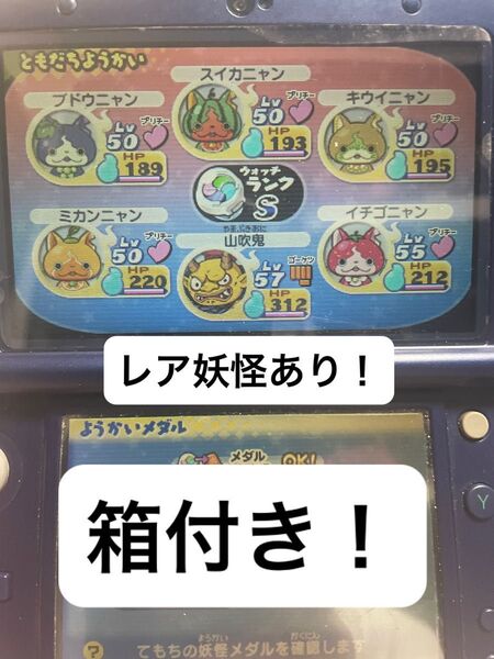 【早い者勝ち】動作確認済 妖怪ウォッチ2 真打 ニンテンドー3DS データあり 箱付き 説明書無し 24時間以内発送可能!