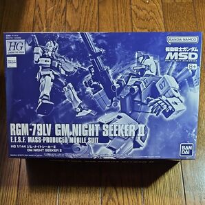 HG 1/144 ジム・ナイトシーカーⅡ 機動戦士ガンダムMSD プレミアムバンダイ プレバン ガンプラ