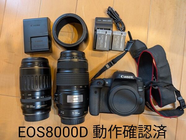 EOS8000D レンズ2本セット