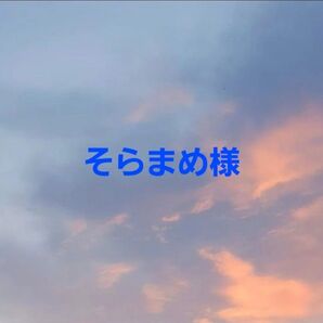 そらまめ様 専用ページ
