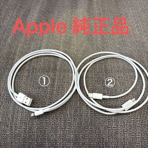 Apple純正 Lightningケーブル 2タイプセット