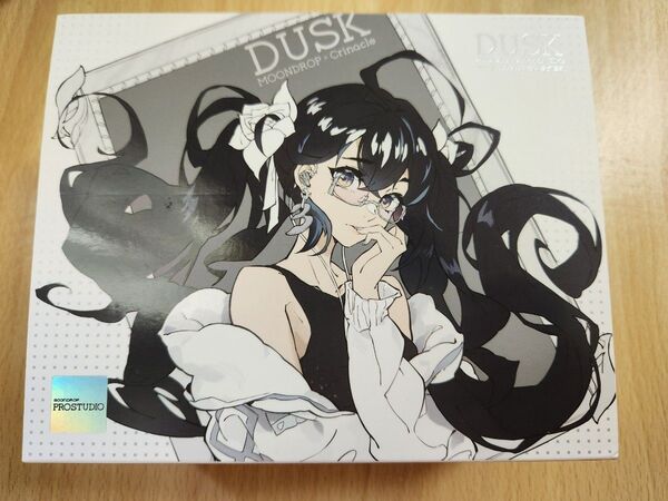 Moondrop x Crinacle Dusk IEMs 2DD+2BA+2Planarイヤホン (付属品欠品なし)