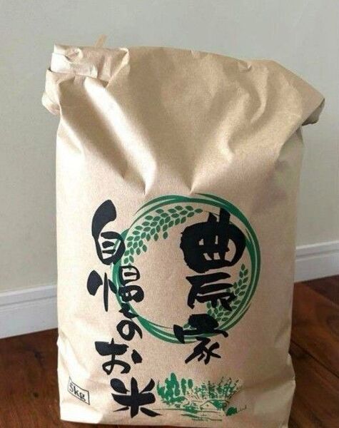 R6年 新米 長野県産 もち米 精米 白米 10kg