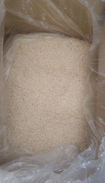 10kg 8505円!!(24H以内購入ポイント還元で) 令和6年産 新米 銀河のしずく 精米 白米 10kg