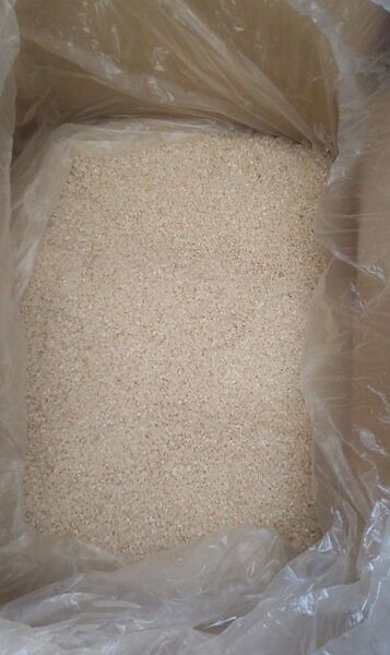 10kg 8010円!! (24H以内購入ポイント還元で) 令和 7年 4月 精米 栃木県産 古米