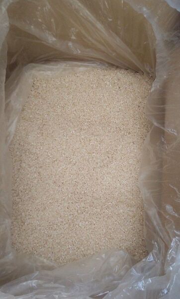 20kg 16500円!! (24H以内購入ポイント還元で) 令和6年産 新米 銀河のしずく の 精米、白米