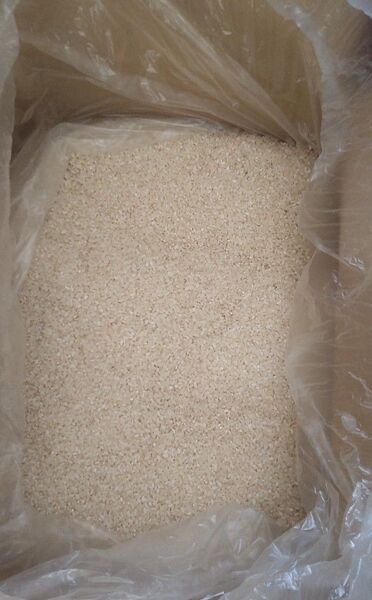 駆込み特価!! 令和6年産 新米 銀河のしずく の 精米、白米 20kg (10kg×2個)