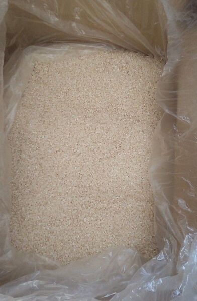 令和6年産 新米 銀河のしずく の 精米、白米 20kg (10kg×2個)