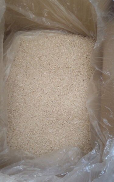 令和6年産 国産 新米 銀河のしずく 精米 白米 20kg ( 10kg × 2個 )