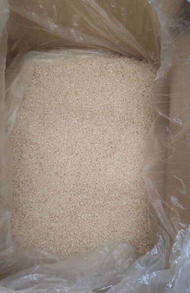 令和6年産 新米 銀河のしずく の 精米、白米 20kg( 10kg × 2個 )