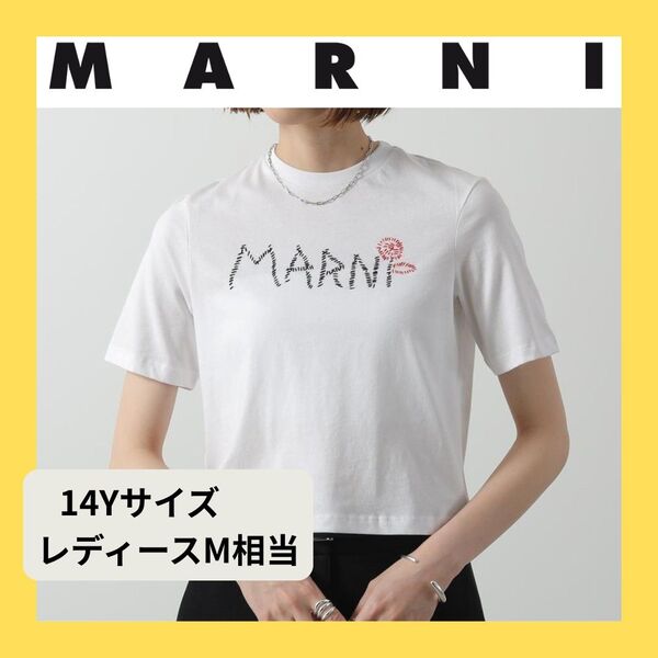 新品★MARNI ロゴ刺繍 Tシャツ 半袖 14Y レディースМ相当