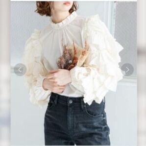 【新品タグ付き】 ULLA JOHNSON ウラジョンソン 別注Pippa フリルブラウス IENA Mサイズ