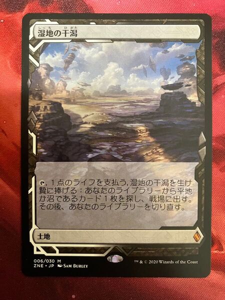 MTG 湿地の干潟 日本語版 ZNE