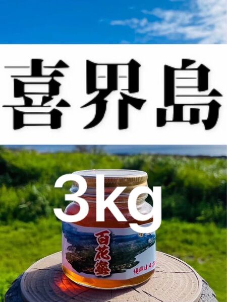 喜界島 百花蜜 3kg 蜂蜜 国産