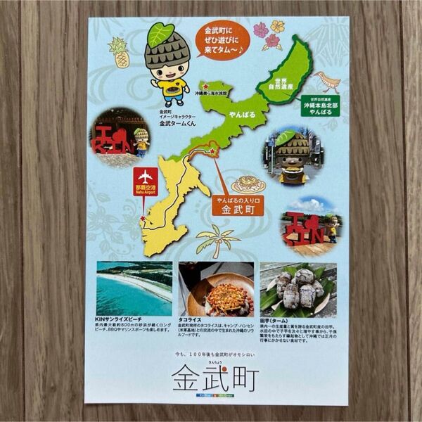 金武町 絵はがき ポストカード 沖縄県 ゆるキャラ 金武タームくん 非売品 レア品 かわいい 可愛い やんばる レターセット
