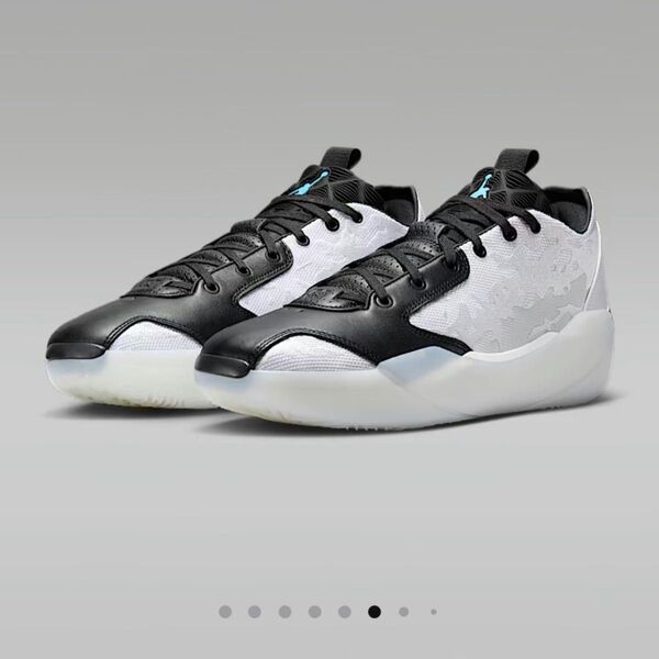 NIKE Air Jordan 39 エアジョーダン PF corix 29cm US11