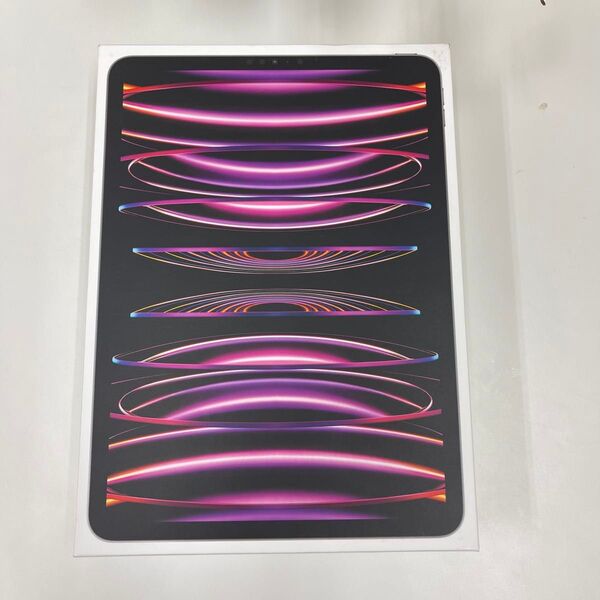 iPad Pro 第4世代 M2チップ 11インチ 128GB Wi-Fi スペースグレイ即日発送