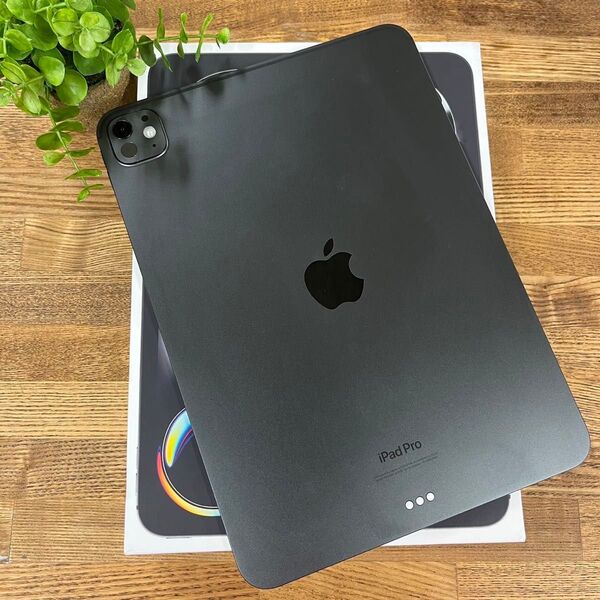 iPad Pro M4 チップ 11インチ 256GB Wi-Fi版 スペースブラック充電回数:13回バッテリー:100%