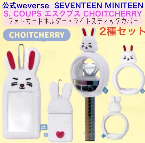 【まとめ売り】公式★ SEVENTEEN セブチ MINITEENミニティーン エスクプス スンチョル 2個セット