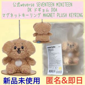 【公式】SEVENTEEN セブンティーン セブチ ミニティーン ドギョム DOA マグネットキーリング ぬいぐるみ マスコット