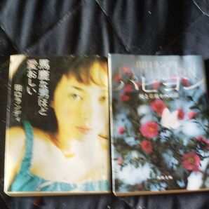 田口ランディ 2冊 パピヨン 馬鹿な男ほど愛おしい