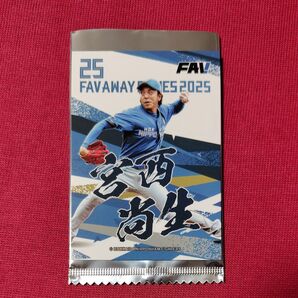 ファイターズ 宮西尚生 トレカ ビジター応援デー