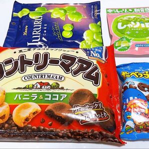 お菓子 まとめ売り 4点セット