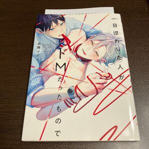 一目惚れした人がドMだったもので 山田ノノノ