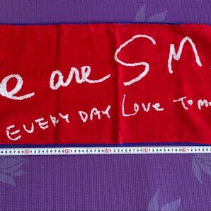 SMAP ライブグッズ タオル We are SMAP EVERYDAY LOVE TOMORROW