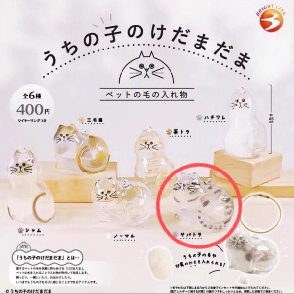 未使用品! うちの子のけだまだま ガチャガチャ サバトラ カプセルトイ 毛玉 入れ物 猫 ネコ ガチャ ねこ