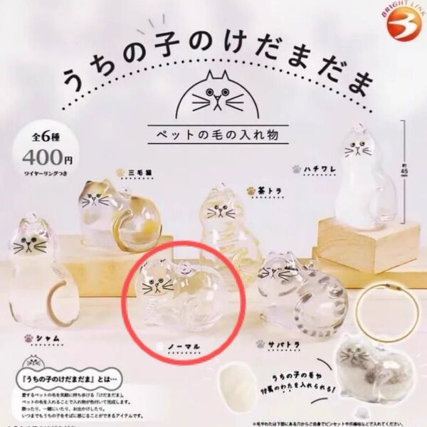 未使用品! うちの子のけだまだま ガチャガチャ ノーマル ネコ 猫 毛玉 ガチャ ねこ カプセルトイ