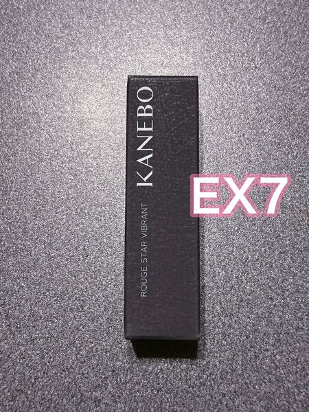 大人気 完売品 限定色 新品未使用 カネボウ ルージュスターヴァイブラント EX7