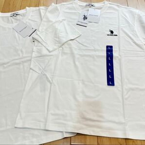 U.S. POLO ASSN メンズ半袖Tシャツ ダブルホースマン刺繍 Lサイズ 2枚セット ホワイト