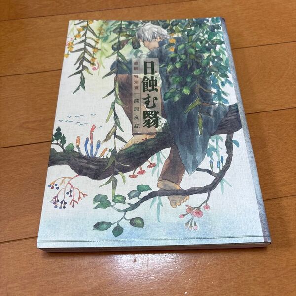 蟲師 特別編 日蝕む翳 (KCDX 3571) 漆原友紀/著