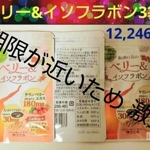 和漢の森 ベリー&イソフラボン 3袋
