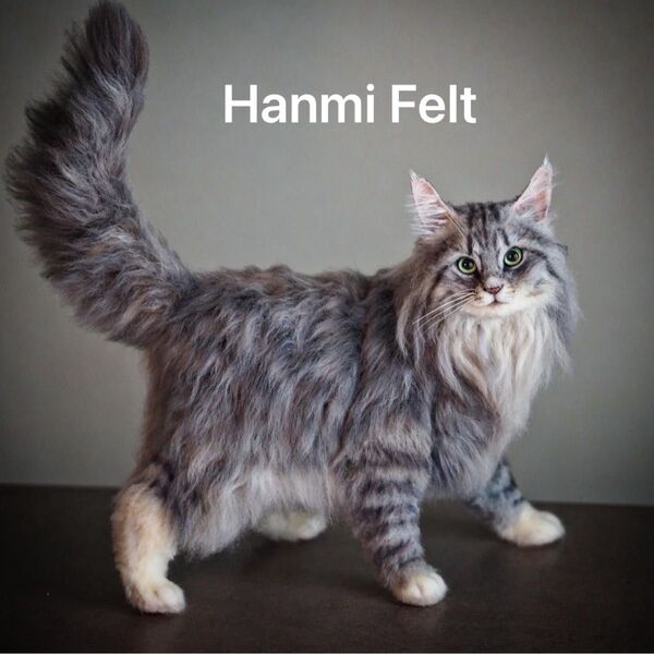 羊毛フェルト ハンドメイド ノルウェージャンフォレストキャット 優雅な立ちポーズ 猫 サバトラ 長毛猫 hanmifelt