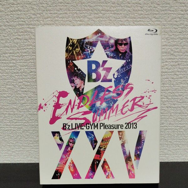 【Blu-ray動作確認済】Bz LIVE-GYM Pleasure 2013 ENDLESS SUMMER-XXV BEST-