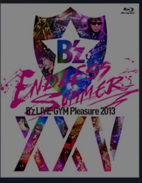 【Blu-ray動作確認済】Bz LIVE-GYM Pleasure 2013 ENDLESS SUMMER【全22曲】