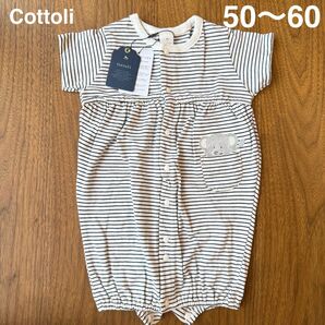 Cottoli 2WAYオール ロンパース 半袖 ボーダー ゾウ 新品 タグ付き 男の子 50〜60