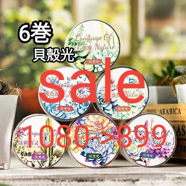 新!Q20 白然之語 貝殻光 多肉 植物 テープ コラージュ素材 ステッカー