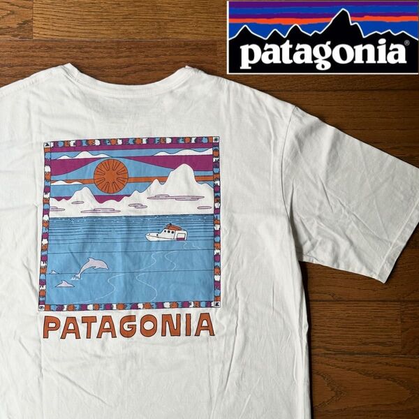 M/ Patagonia/パタゴニア/サミット スウェル オーガニックTシャツ