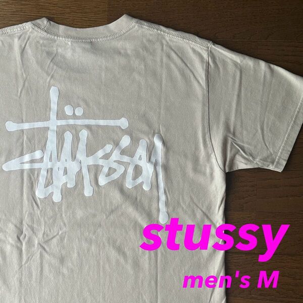 STUSSY ステューシー ショーンフォントロゴ バックプリントTシャツ M
